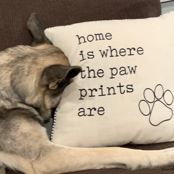 Meet your Posher, Payton - Picture 1 of 1